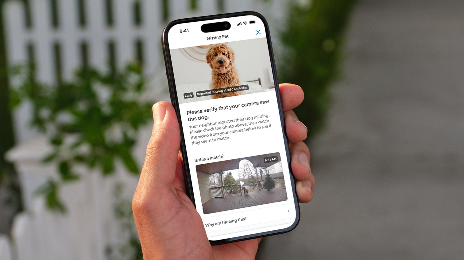 The Ring app is a must-have for dog owners after this change